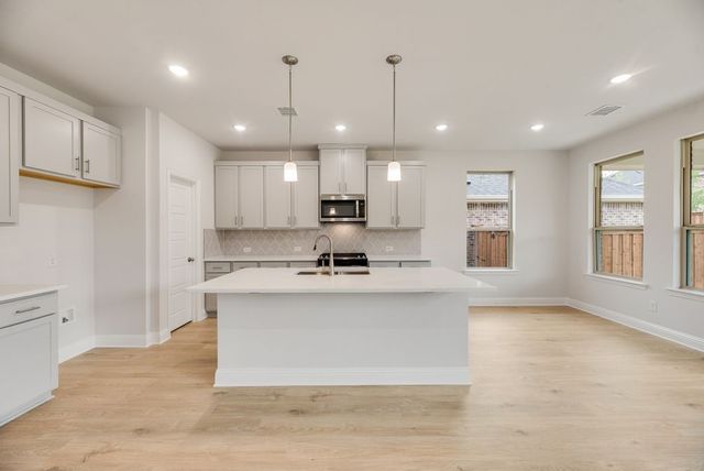 165 Ashbrook Street, Little Elm, TX 75068