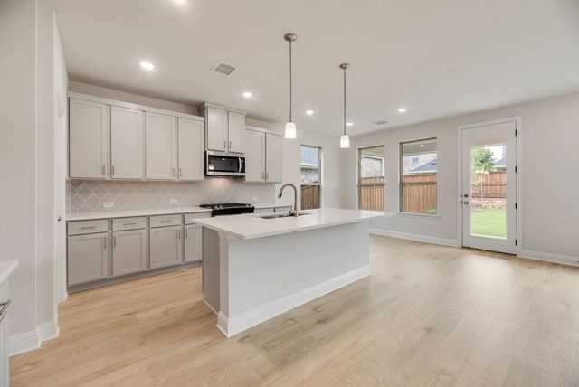 165 Ashbrook Street, Little Elm, TX 75068