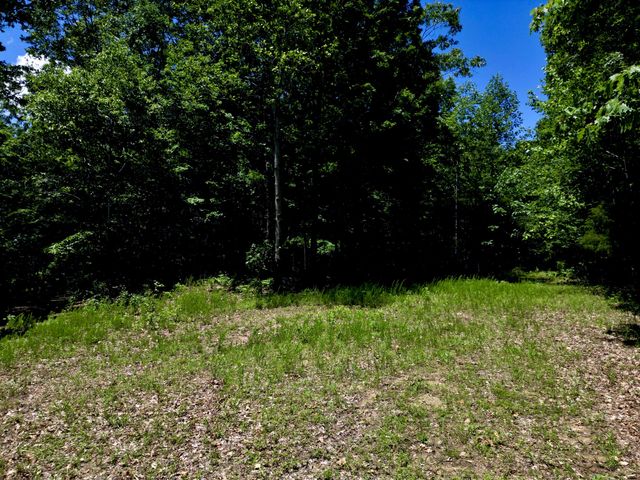 0 Big Marrrowbone Rd, Ashland City, TN 37015