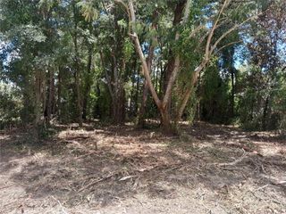 tbd NE 48TH STREET, Williston, FL 32696