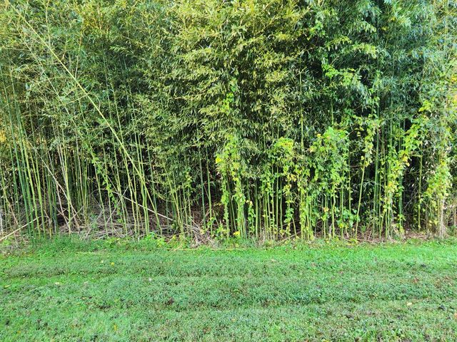 643 River Bottom Lane, Concord, VA 24538