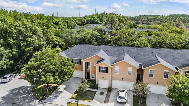 16309 WORCHESTER PALMS COURT, Tampa, FL 33647