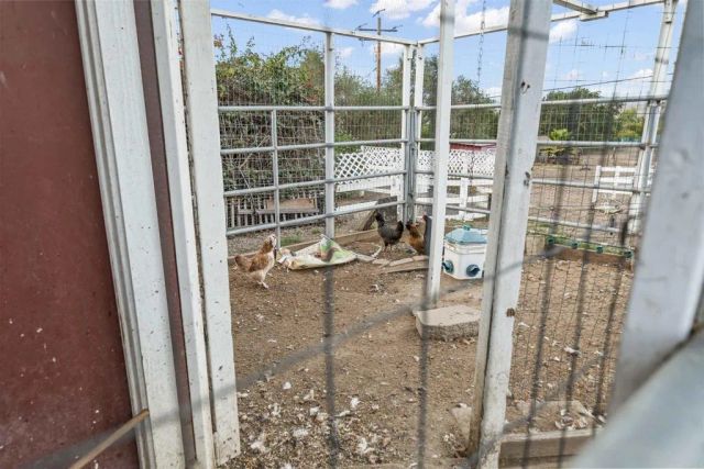 31959 Via Ararat Drive, Bonsall, CA 92003