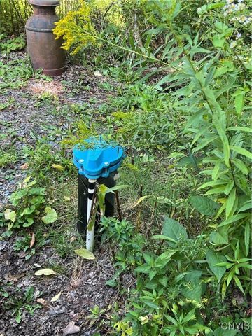 298 Lick Street, Summerhill, NY 13092