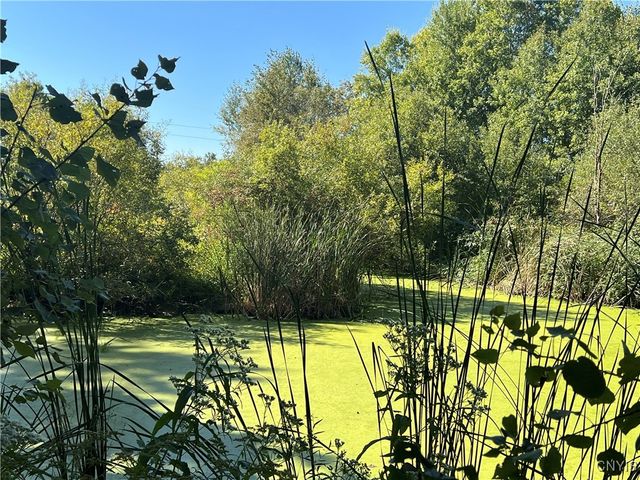 298 Lick Street, Summerhill, NY 13092