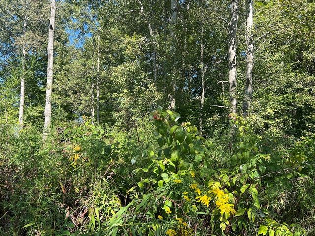 298 Lick Street, Summerhill, NY 13092