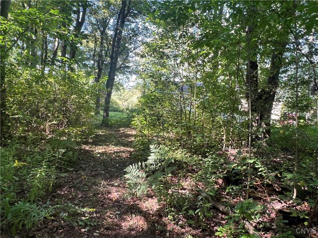 298 Lick Street, Summerhill, NY 13092