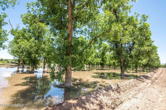 2917 Snow Road, Las Cruces, NM 88005