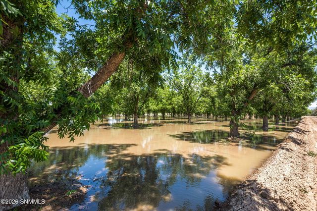 2917 Snow Road, Las Cruces, NM 88005