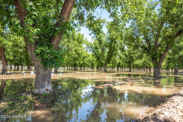 2917 Snow Road, Las Cruces, NM 88005