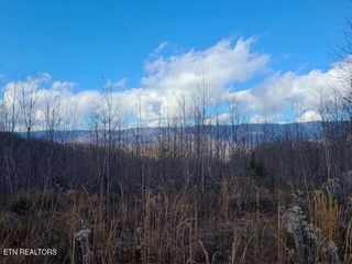 Dooley Hollow Rd, Ewing, VA 24248