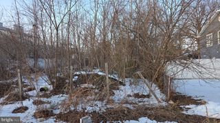 2908 E LEE AVE, Alexandria, VA 22306