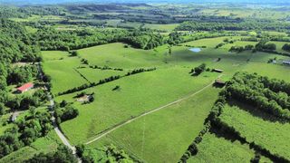 4160 Blue Lick Road, Stanford, KY 40484