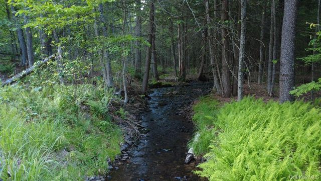 52 Log Road, Parksville, NY 12768