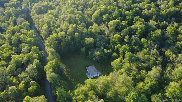 52 Log Road, Parksville, NY 12768