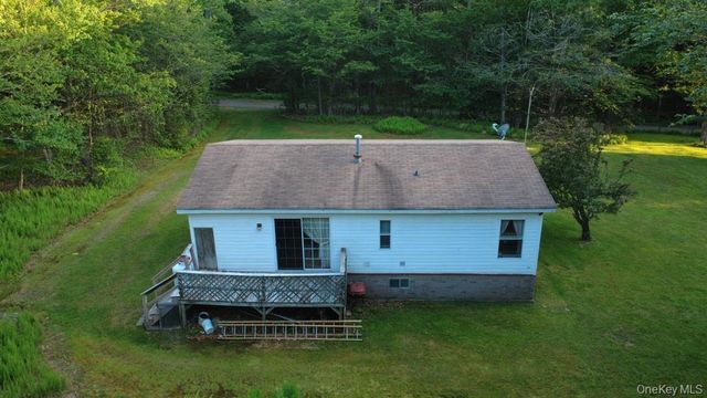52 Log Road, Parksville, NY 12768