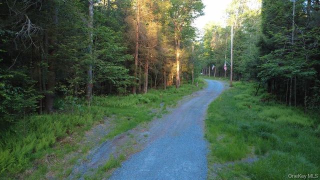 52 Log Road, Parksville, NY 12768