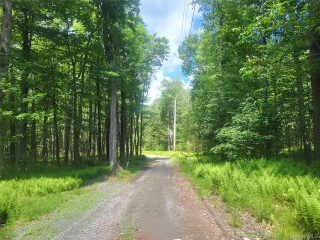 52 Log Road, Parksville, NY 12768