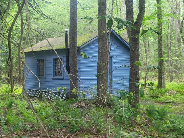 52 Log Road, Parksville, NY 12768
