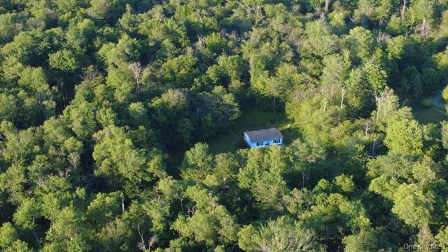 52 Log Road, Parksville, NY 12768