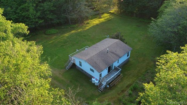 52 Log Road, Parksville, NY 12768