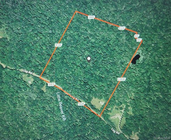 52 Log Road, Parksville, NY 12768