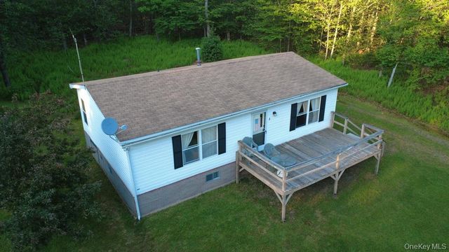 52 Log Road, Parksville, NY 12768