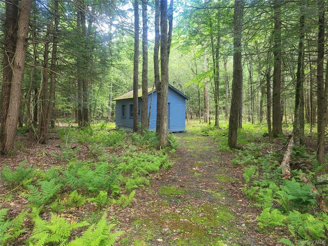 52 Log Road, Parksville, NY 12768