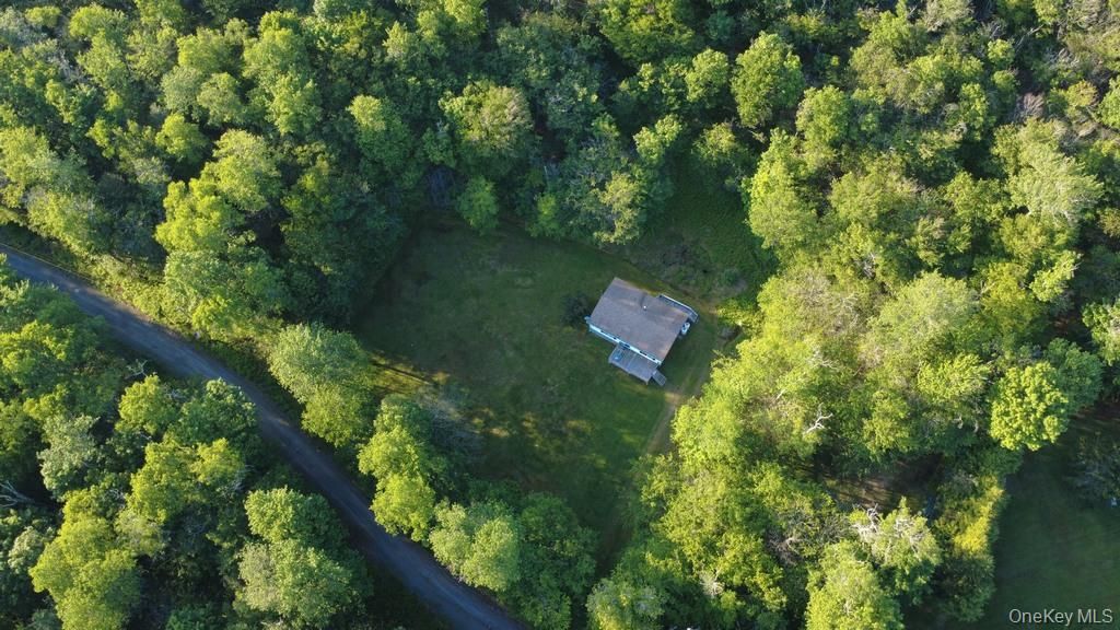 52 Log Road, Parksville, NY 12768
