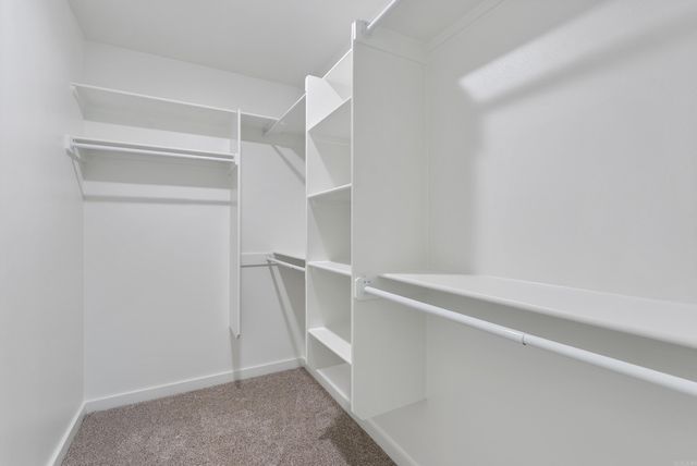 305 Parkway Avenue, Morrilton, AR 72110