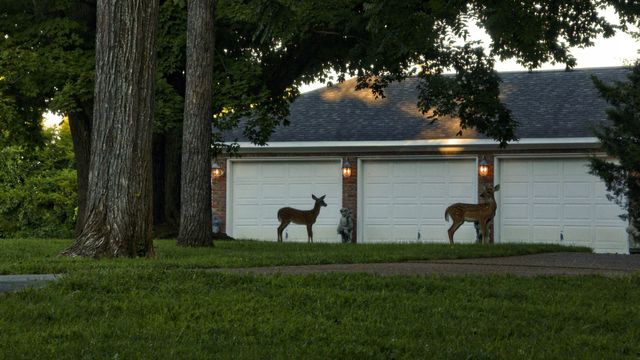 1929 Hickory Ridge Rd, Lebanon, TN 37087