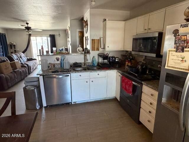 11625 W BLOOMFIELD Road, El Mirage, AZ 85335