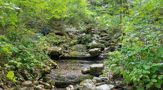 7659 Burks Rd, Christiana, TN 37037