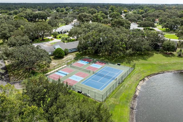 803 DUNDEE CIRCLE, Leesburg, FL 34788