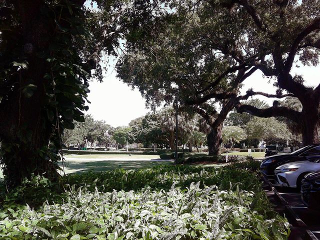 9420 Poinciana Place 409, Davie, FL 33324