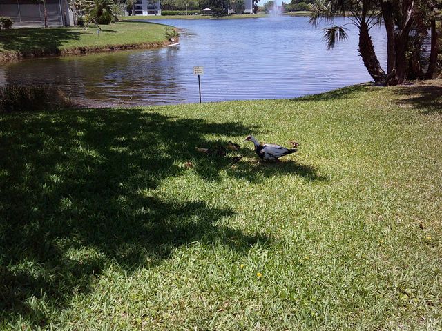 9420 Poinciana Place 409, Davie, FL 33324