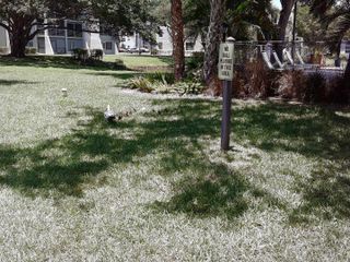 9420 Poinciana Place 409, Davie, FL 33324