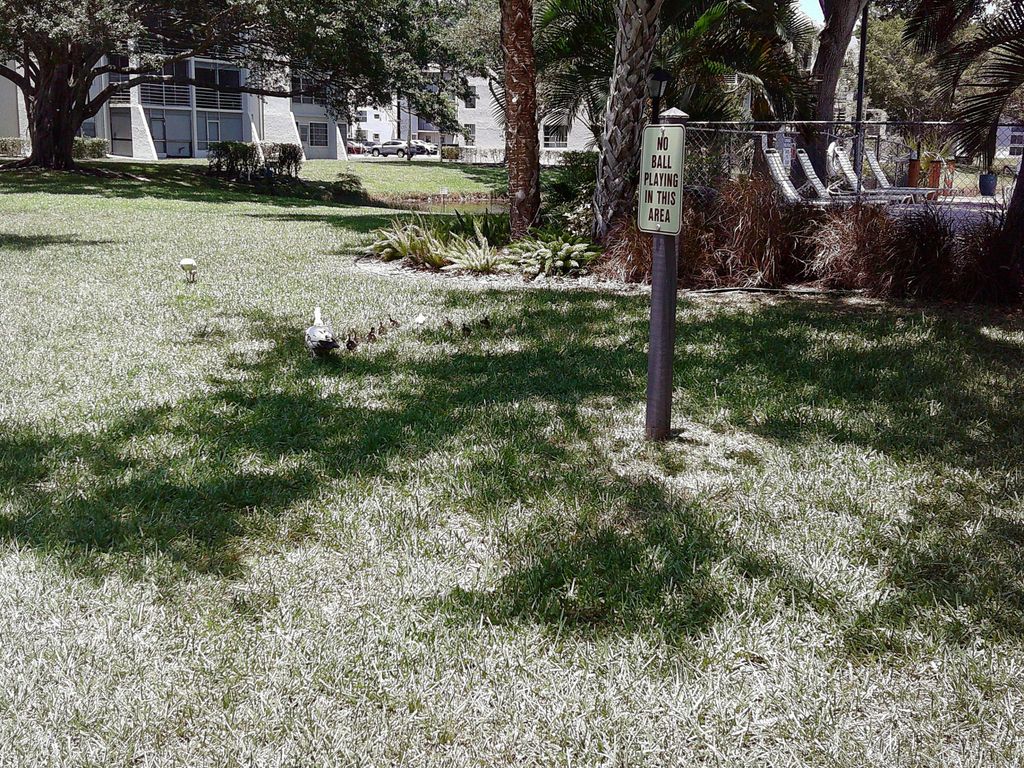 9420 Poinciana Place 409, Davie, FL 33324