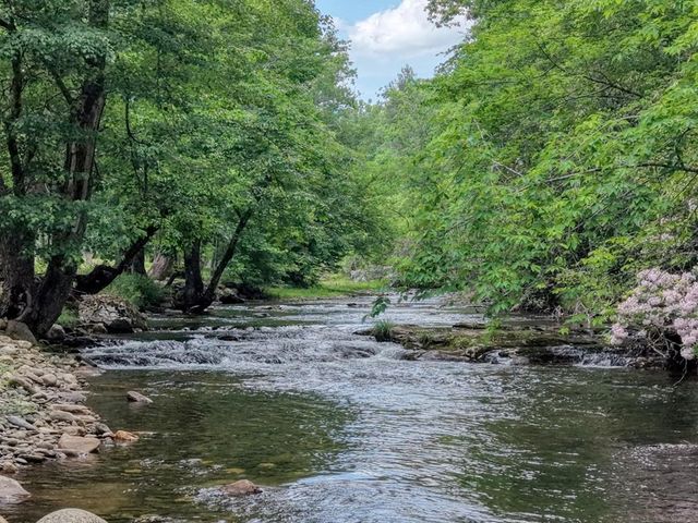 515 Barlow Fields Drive, Hayesville, NC 28904