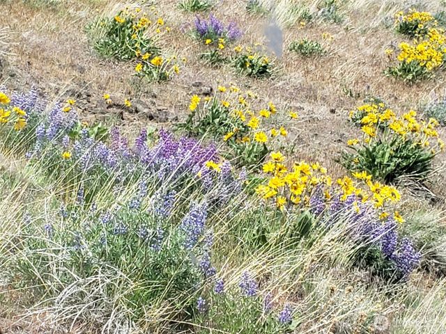 3671 W Sun East Road, Ellensburg, WA 98926
