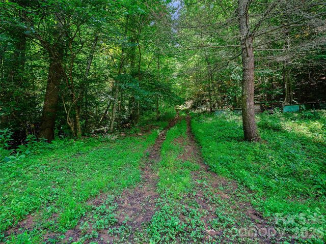 000 Cove Mountain Road, Burnsville, NC 28714