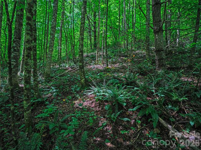000 Cove Mountain Road, Burnsville, NC 28714