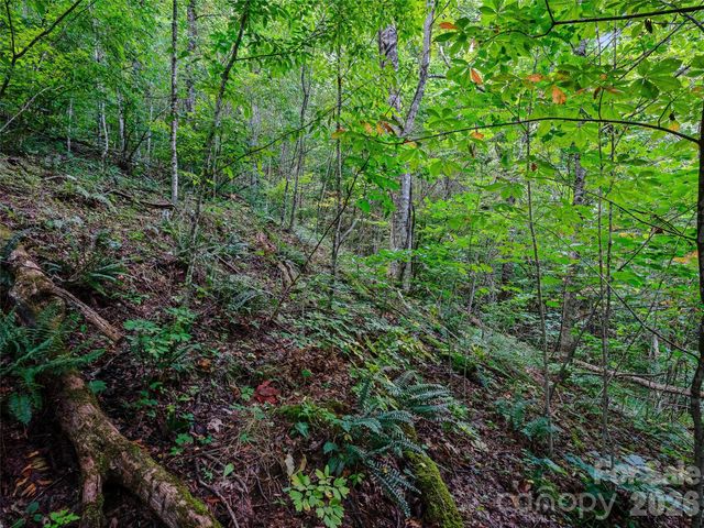 000 Cove Mountain Road, Burnsville, NC 28714