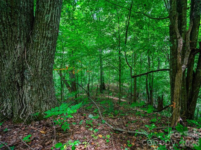 000 Cove Mountain Road, Burnsville, NC 28714