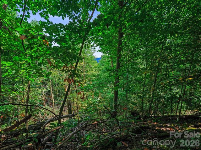 000 Cove Mountain Road, Burnsville, NC 28714