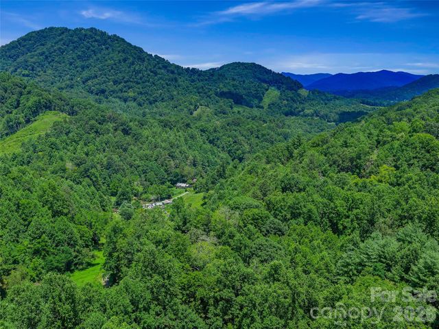 000 Cove Mountain Road, Burnsville, NC 28714