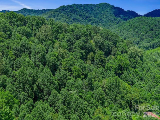 000 Cove Mountain Road, Burnsville, NC 28714