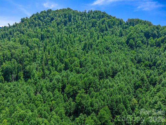 000 Cove Mountain Road, Burnsville, NC 28714