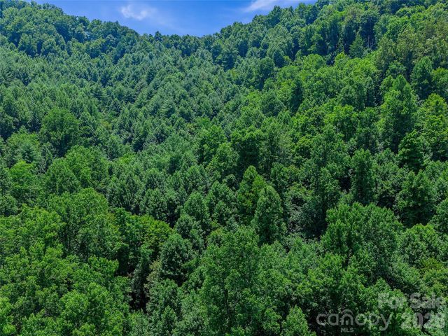 000 Cove Mountain Road, Burnsville, NC 28714