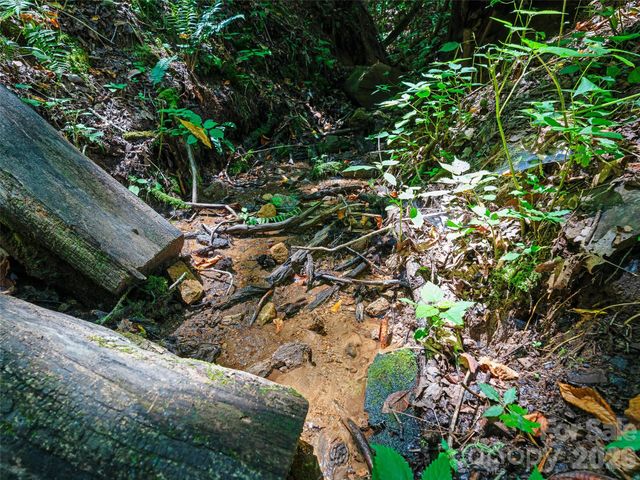 000 Cove Mountain Road, Burnsville, NC 28714